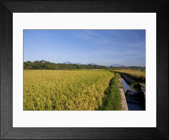 Framed Print : DDE-90024961 Framed Print : DDE-90024961