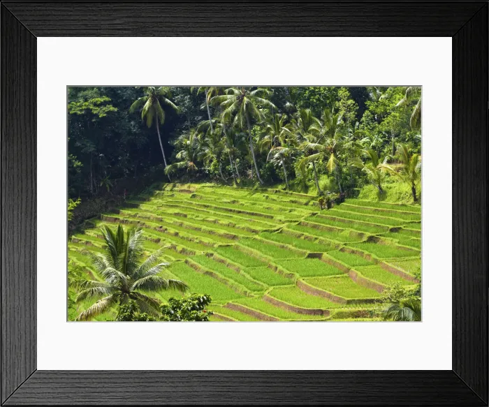 Framed Print : DDE-90024960 Framed Print : DDE-90024960