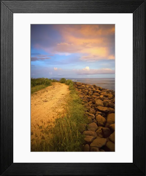Framed Print : DDE-90024964 Framed Print : DDE-90024964