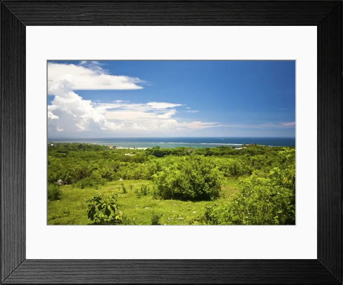 Framed Print : DDE-90024968 Framed Print : DDE-90024968
