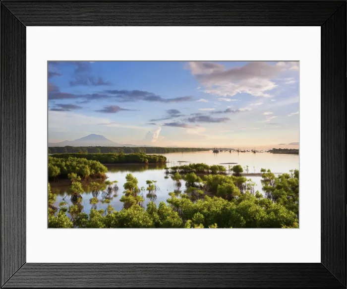 Framed Print : DDE-90024969 Framed Print : DDE-90024969