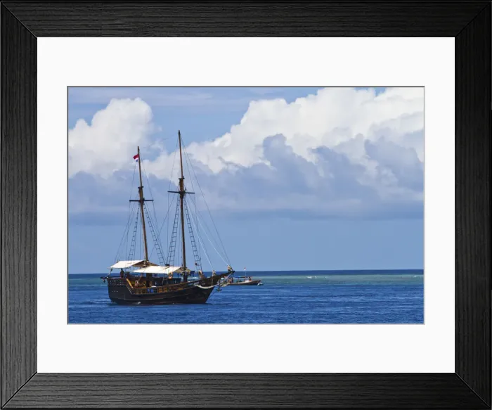 Framed Print : DDE-90024975 Framed Print : DDE-90024975
