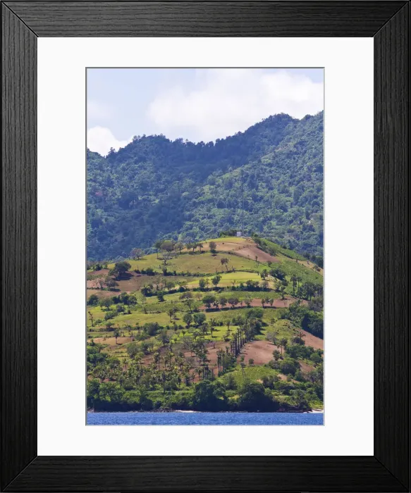Framed Print : DDE-90024977 Framed Print : DDE-90024977