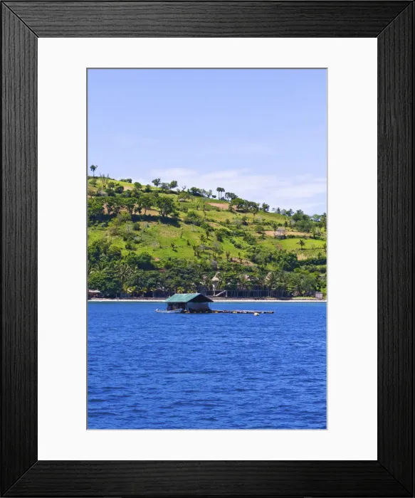 Framed Print : DDE-90024978 Framed Print : DDE-90024978