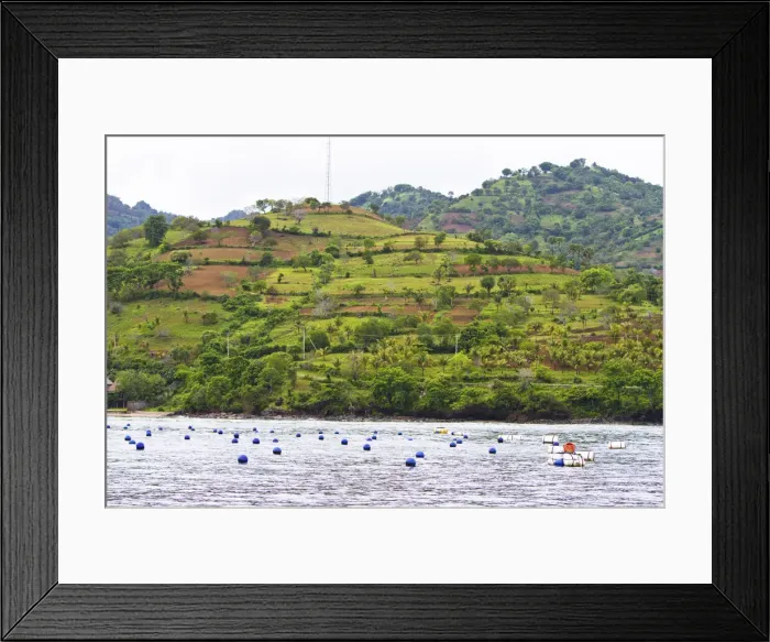 Framed Print : DDE-90024979 Framed Print : DDE-90024979