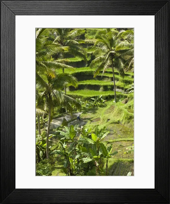 Framed Print : DDE-90024983 Framed Print : DDE-90024983