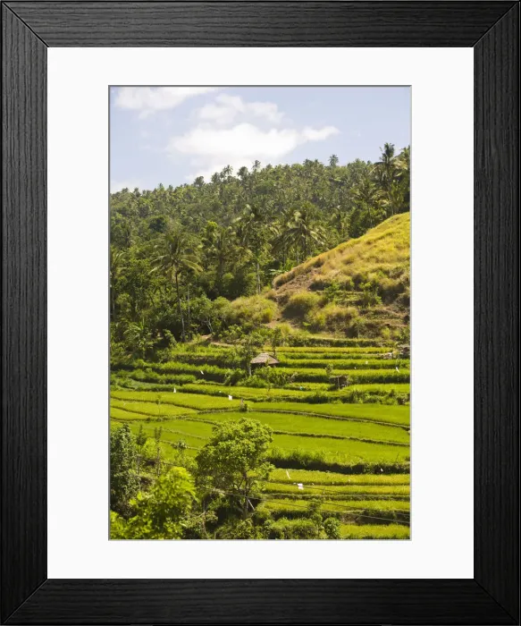 Framed Print : DDE-90024986 Framed Print : DDE-90024986