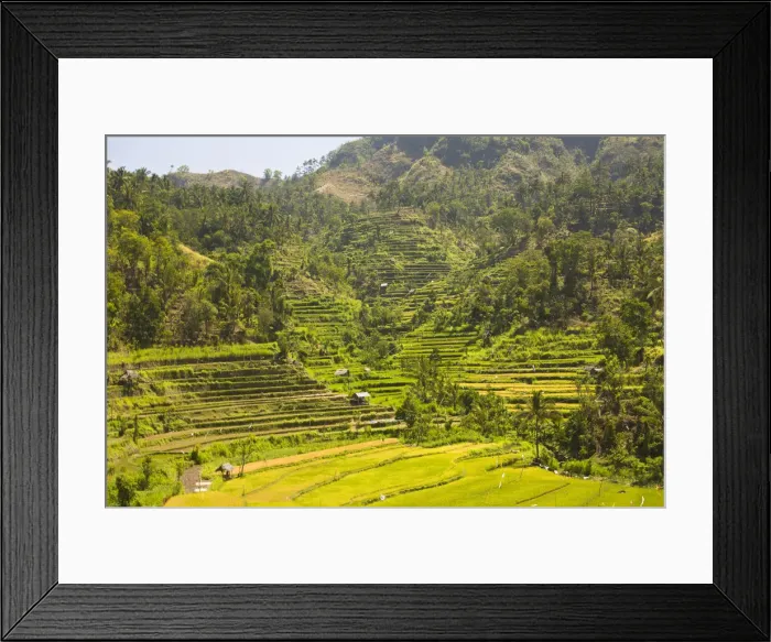 Framed Print : DDE-90024985