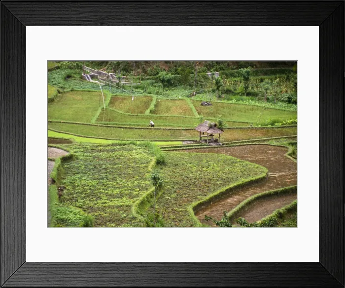Framed Print : DDE-90025019 Framed Print : DDE-90025019