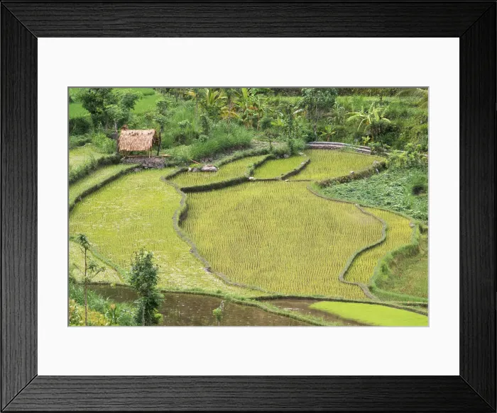 Framed Print : DDE-90025025 Framed Print : DDE-90025025