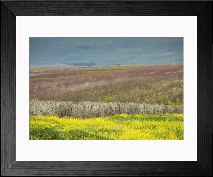 Framed Print : DDE-90025047 Framed Print : DDE-90025047