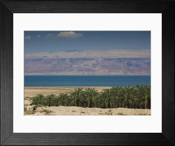 Framed Print : DDE-90025048 Framed Print : DDE-90025048