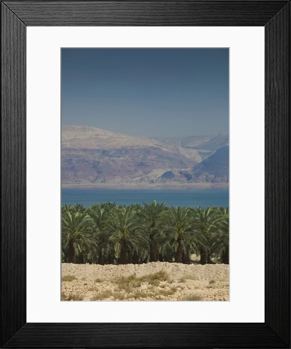 Framed Print : DDE-90025049 Framed Print : DDE-90025049