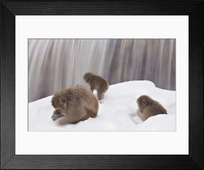 Framed Print : DDE-90025053 Framed Print : DDE-90025053