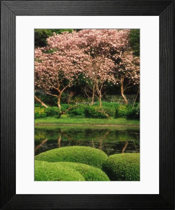 Framed Print : DDE-90025067
