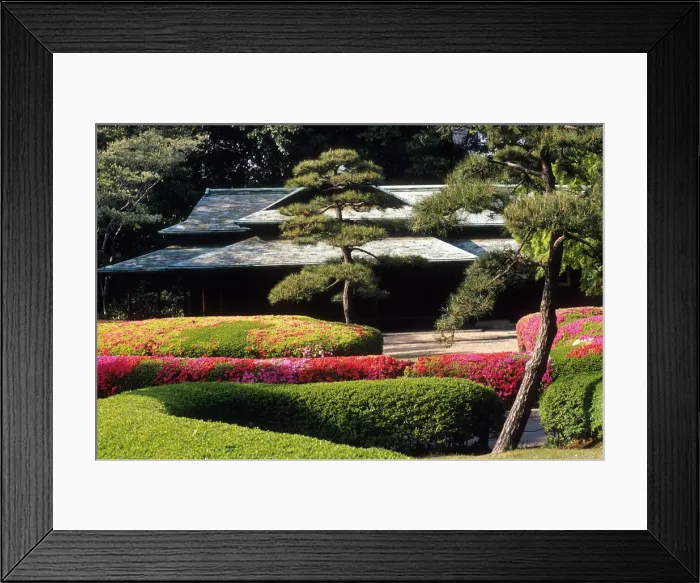 Framed Print : DDE-90025068