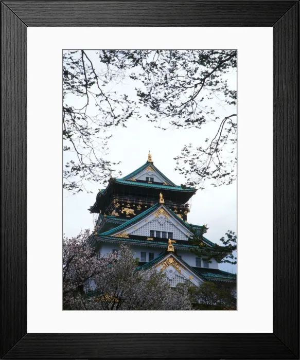 Framed Print : DDE-90025069