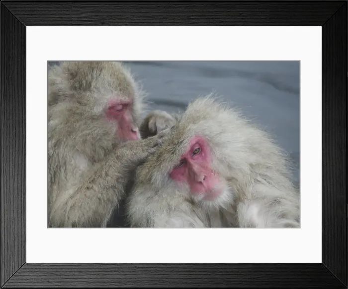 Framed Print : DDE-90025076 Framed Print : DDE-90025076
