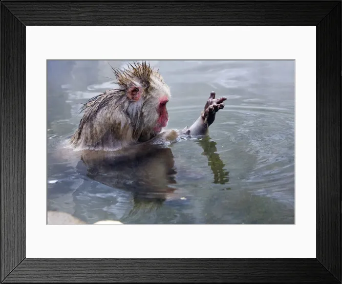 Framed Print : DDE-90025078 Framed Print : DDE-90025078