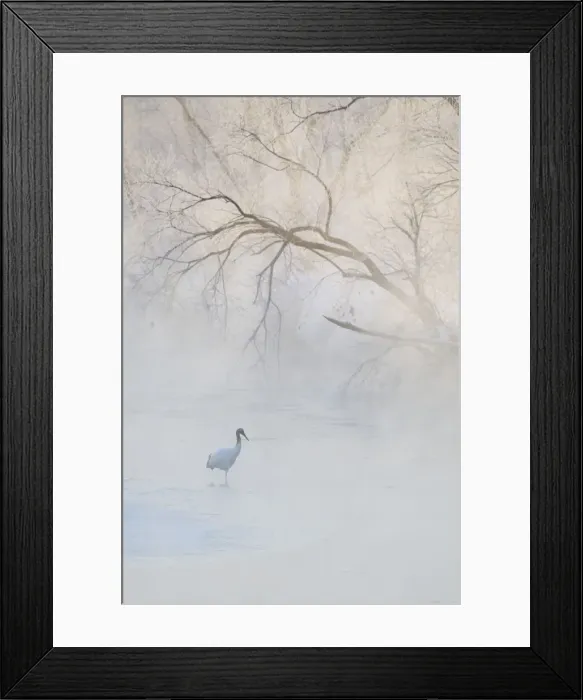 Framed Print : DDE-90025080 Framed Print : DDE-90025080