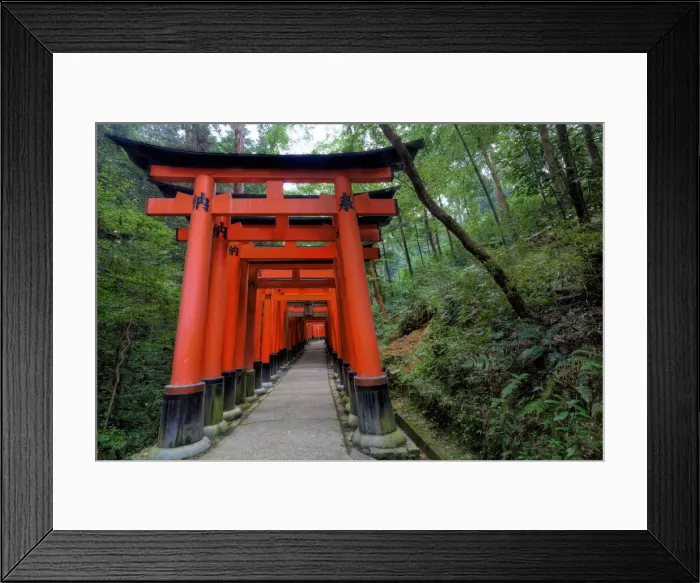 Framed Print : DDE-90025085
