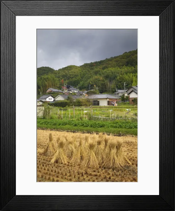 Framed Print : DDE-90025086 Framed Print : DDE-90025086