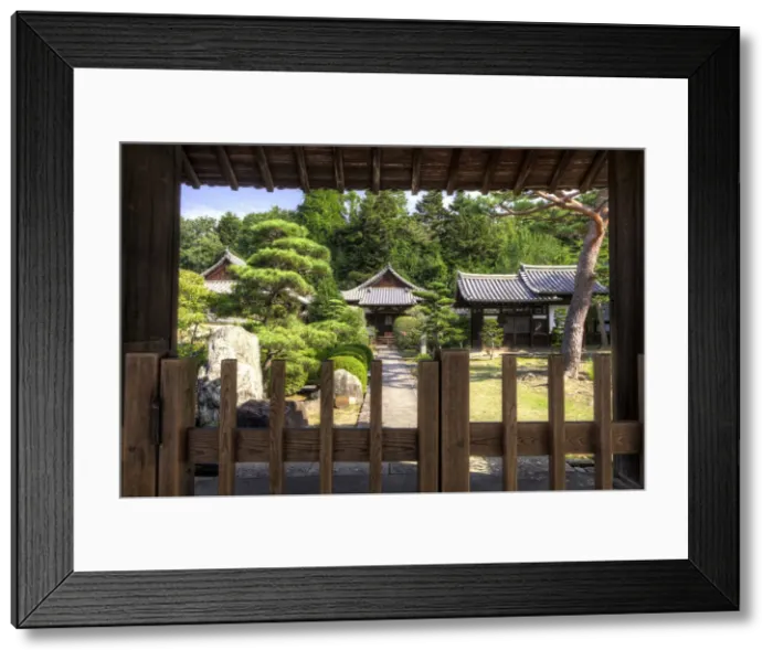 Framed Print : DDE-90025088
