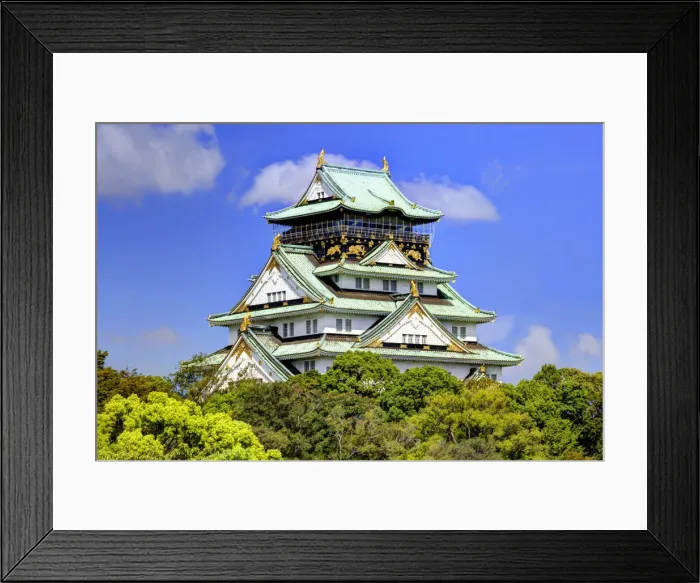 Framed Print : DDE-90025089