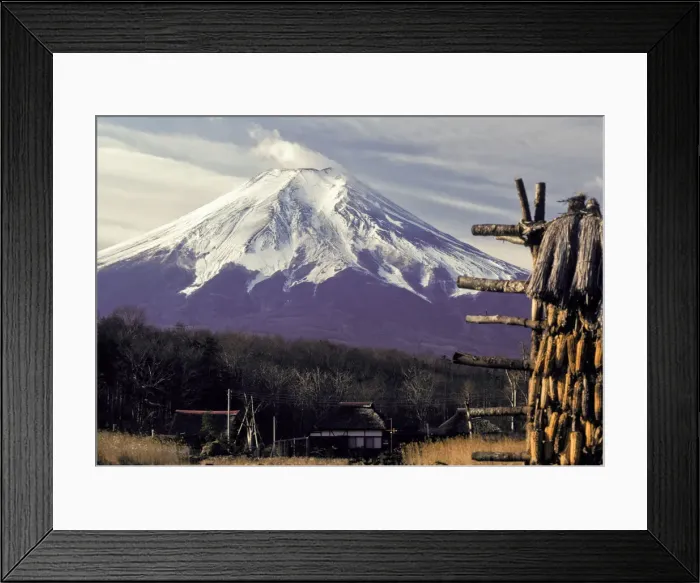 Framed Print : DDE-90025090 Framed Print : DDE-90025090