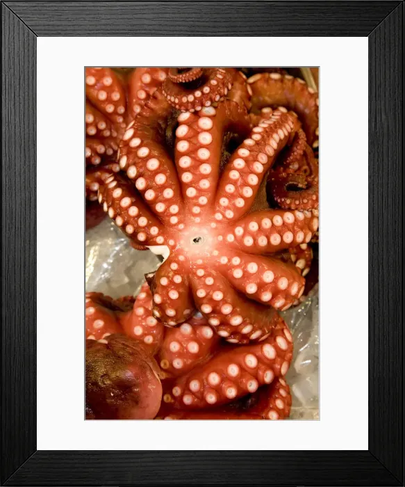 Framed Print : DDE-90025092