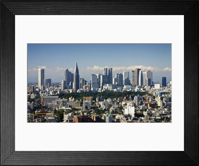 Framed Print : DDE-90025096 Framed Print : DDE-90025096