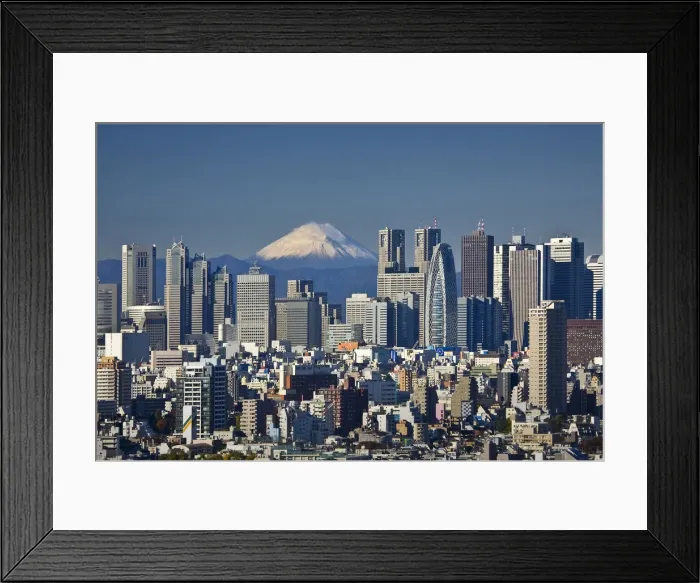 Framed Print : DDE-90025095