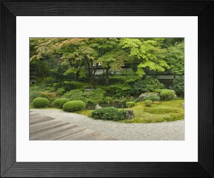 Framed Print : DDE-90025099 Framed Print : DDE-90025099