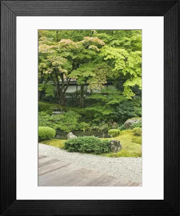 Framed Print : DDE-90025100 Framed Print : DDE-90025100