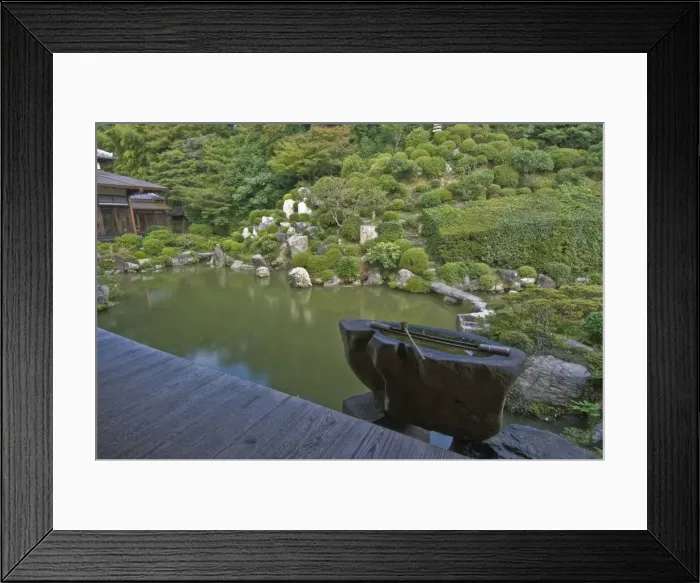 Framed Print : DDE-90025098