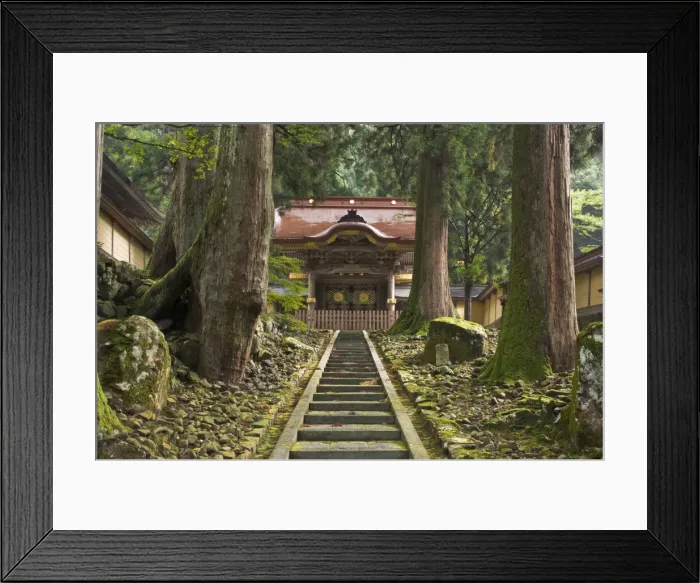 Framed Print : DDE-90025104 Framed Print : DDE-90025104