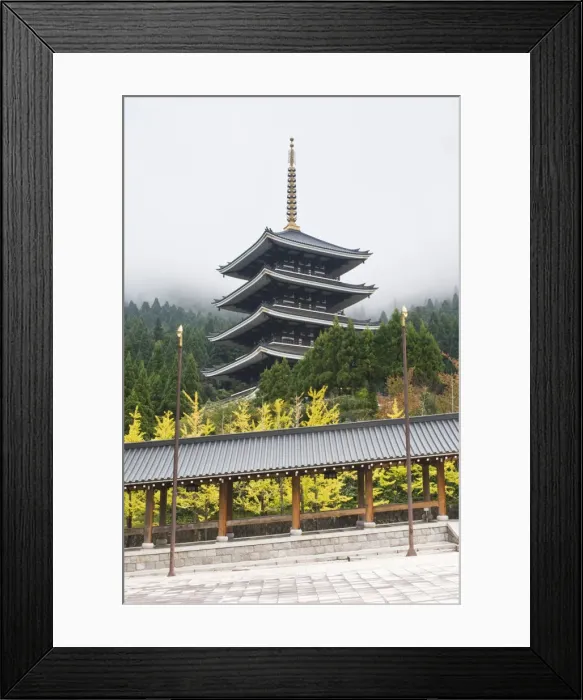 Framed Print : DDE-90025105
