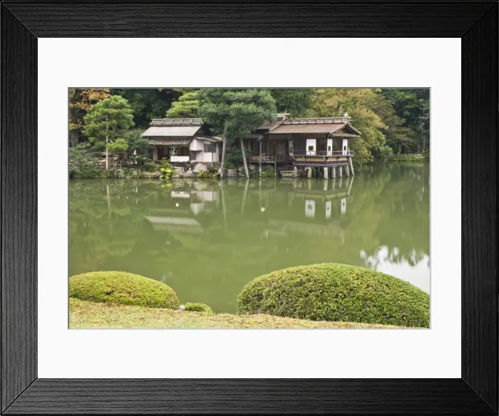Framed Print : DDE-90025106 Framed Print : DDE-90025106