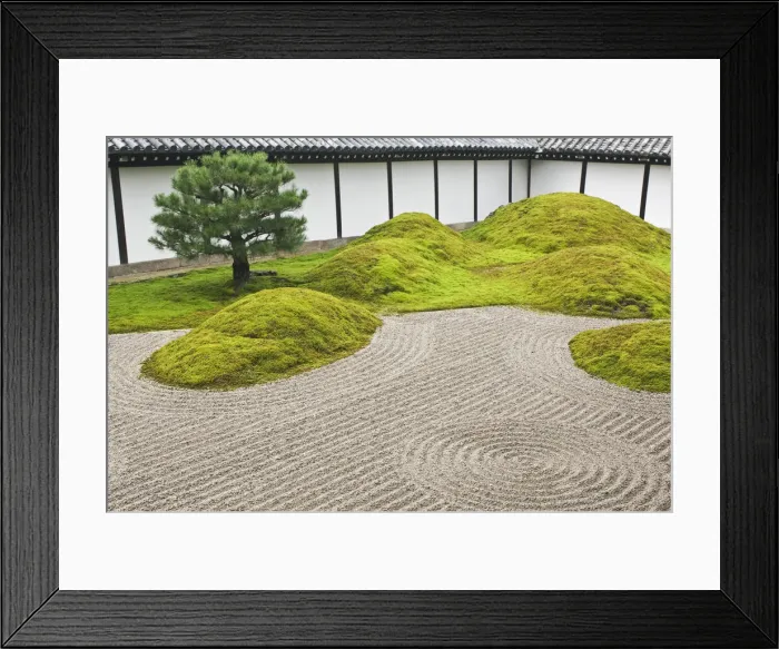 Framed Print : DDE-90025103 Framed Print : DDE-90025103