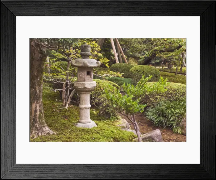 Framed Print : DDE-90025107 Framed Print : DDE-90025107