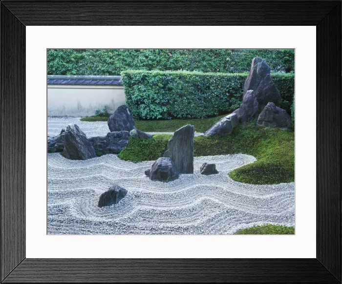 Framed Print : DDE-90025110 Framed Print : DDE-90025110