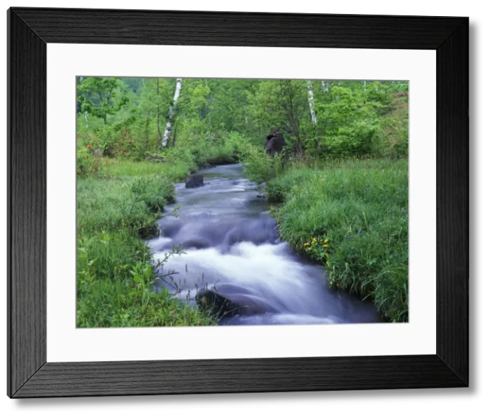 Framed Print : DDE-90025111 Framed Print : DDE-90025111