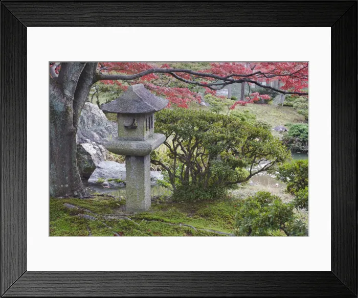 Framed Print : DDE-90025114 Framed Print : DDE-90025114