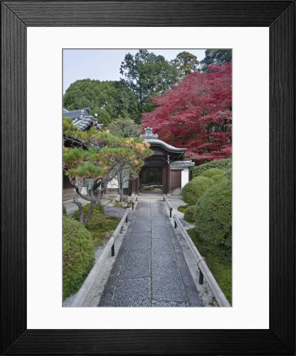 Framed Print : DDE-90025113 Framed Print : DDE-90025113