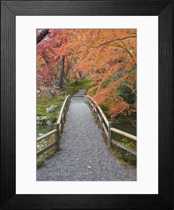 Framed Print : DDE-90025115 Framed Print : DDE-90025115