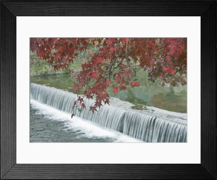 Framed Print : DDE-90025117 Framed Print : DDE-90025117