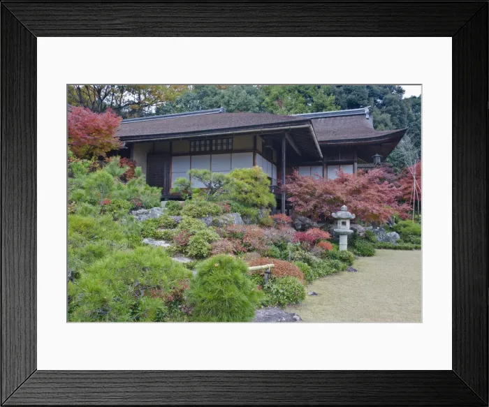 Framed Print : DDE-90025116 Framed Print : DDE-90025116