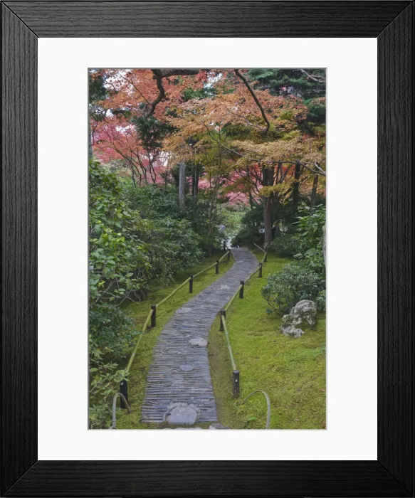 Framed Print : DDE-90025118