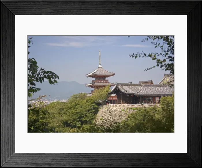 Framed Print : DDE-90025120