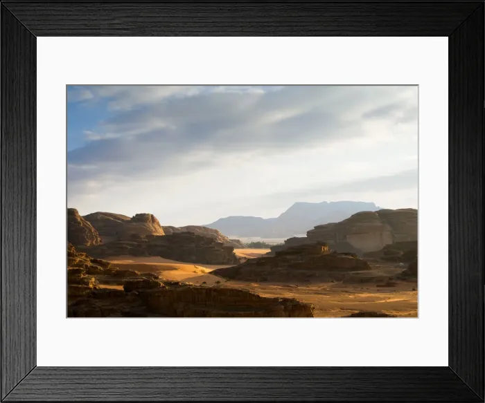 Framed Print : DDE-90025125